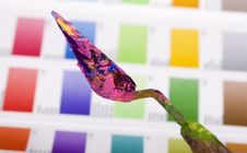 Artistic Equipment And Color Chart Royalty Free Stock Photos Artistic Equipment And Color Chart Royalty Free Stock Photos