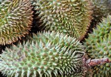 Durian Fruit Stock Images Durian Fruit Stock Images