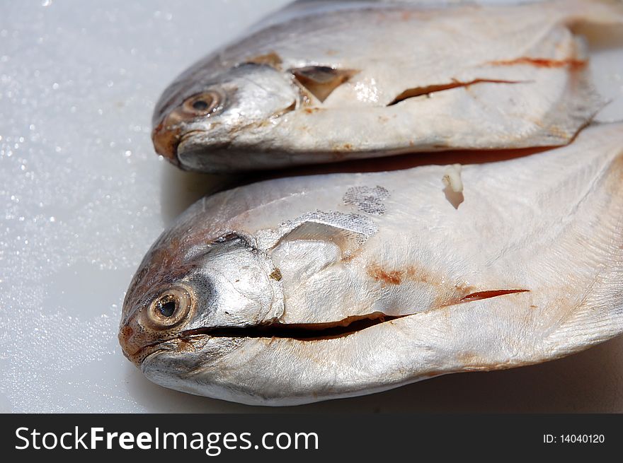 Two fish with white background