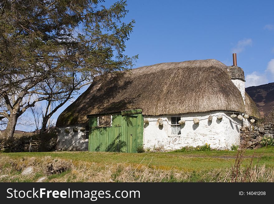 Thatched Cottage In Scotland