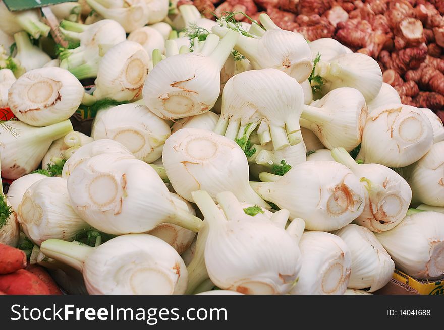 Close up of fennel on market stand