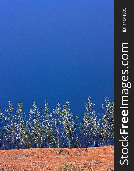 Lake scenery , blue water and tree ------