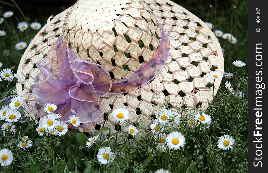 Woman hat and wildflower outdoor. Woman hat and wildflower outdoor