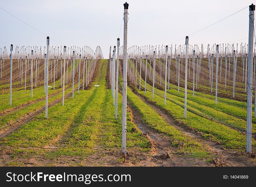 Part of the field with irrigation system on the outskirts of national park of Fruska Gora, Serbia. Part of the field with irrigation system on the outskirts of national park of Fruska Gora, Serbia