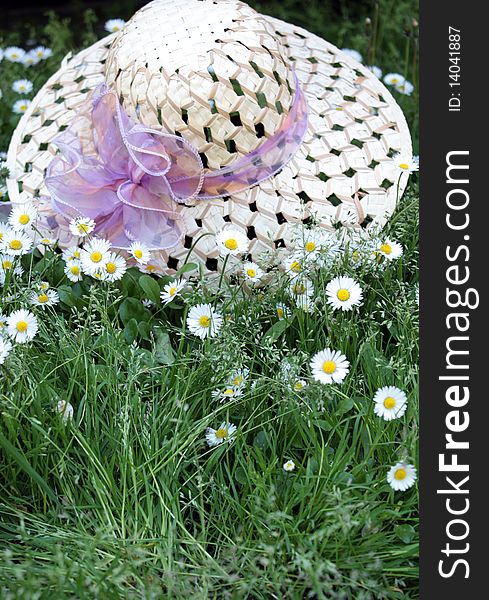 Woman hat and wildflower outdoor. Woman hat and wildflower outdoor