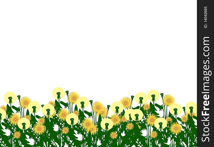 Vector illustration of dandelion as background