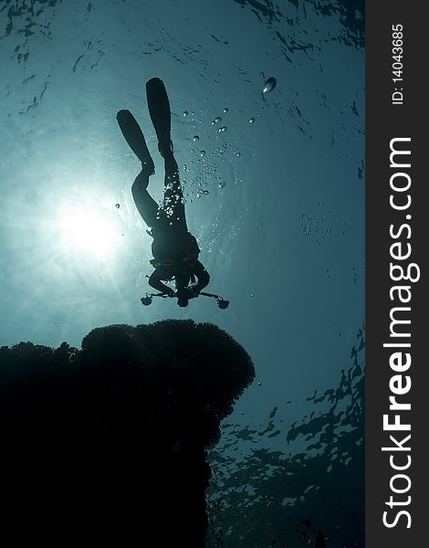 Silhouette of an underwater photographer taken in the Red Sea.