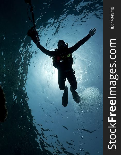 Silhouette of an underwater photographer taken in the Red Sea.