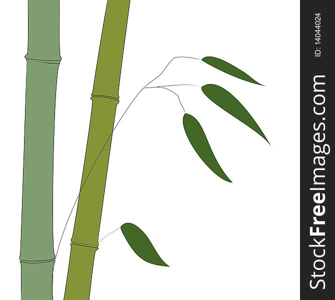 An illustration of bamboo that is done in the style of Chinese and Japanese watercolor and ink paintings. Bamboo is the fastest growing plant in the world. A member of the grass family, some species can grow up to 24 inches per day. It is a wonderful renewable substitute for wood products. That makes it a very green product. An illustration of bamboo that is done in the style of Chinese and Japanese watercolor and ink paintings. Bamboo is the fastest growing plant in the world. A member of the grass family, some species can grow up to 24 inches per day. It is a wonderful renewable substitute for wood products. That makes it a very green product.
