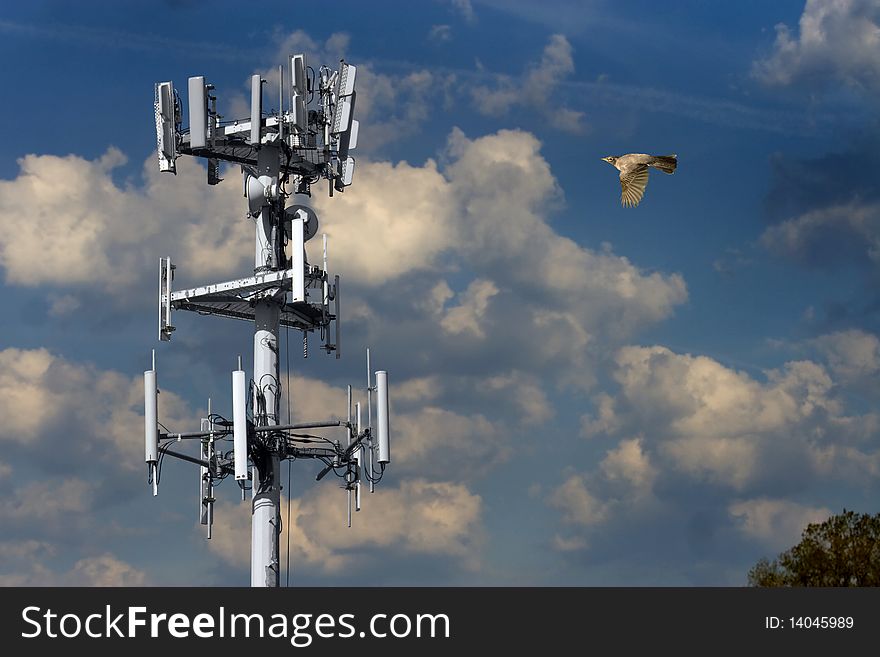 A robin flying toward a comunications tower. A robin flying toward a comunications tower.