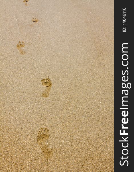 Footprints on a sandy beach