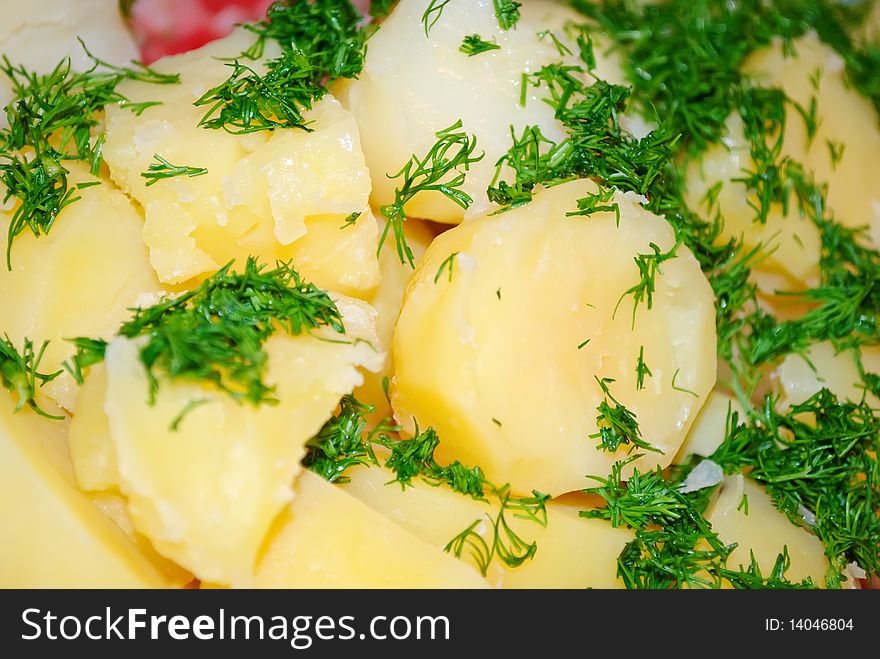 Hot and tasty boiled potatoes with green dill. Hot and tasty boiled potatoes with green dill
