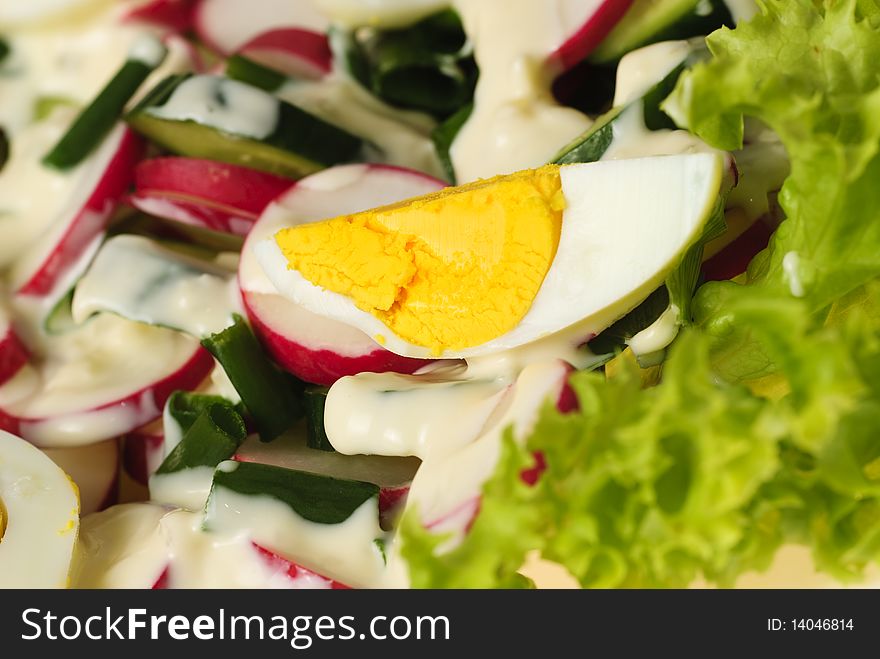 Salad with slice of egg close up on green lettuce. Salad with slice of egg close up on green lettuce