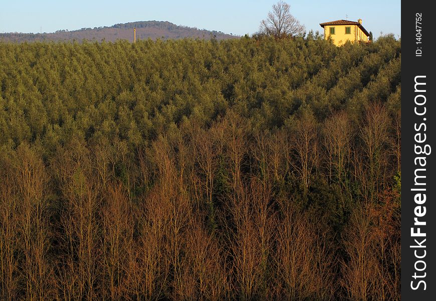 Yellow house on top of the hill. Yellow house on top of the hill