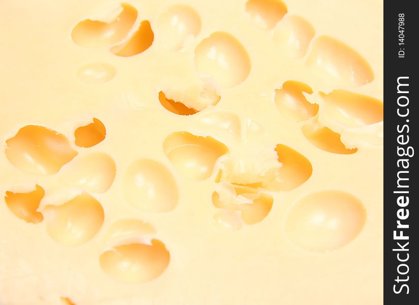 Swiss cheese in close up