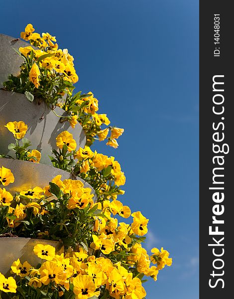 Tower of steel pots full with pansies. Tower of steel pots full with pansies