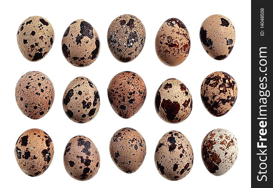 Quail eggs on a white background