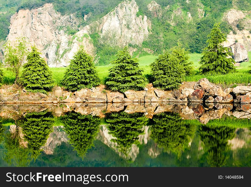 The beautiful lakeside with the pine trees