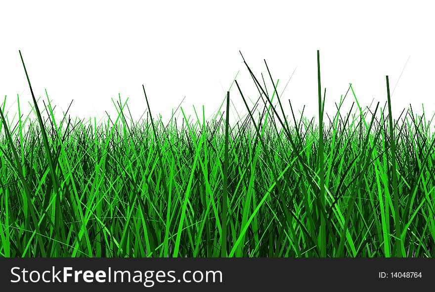3d illustration of green grass isolated on white background. 3d illustration of green grass isolated on white background