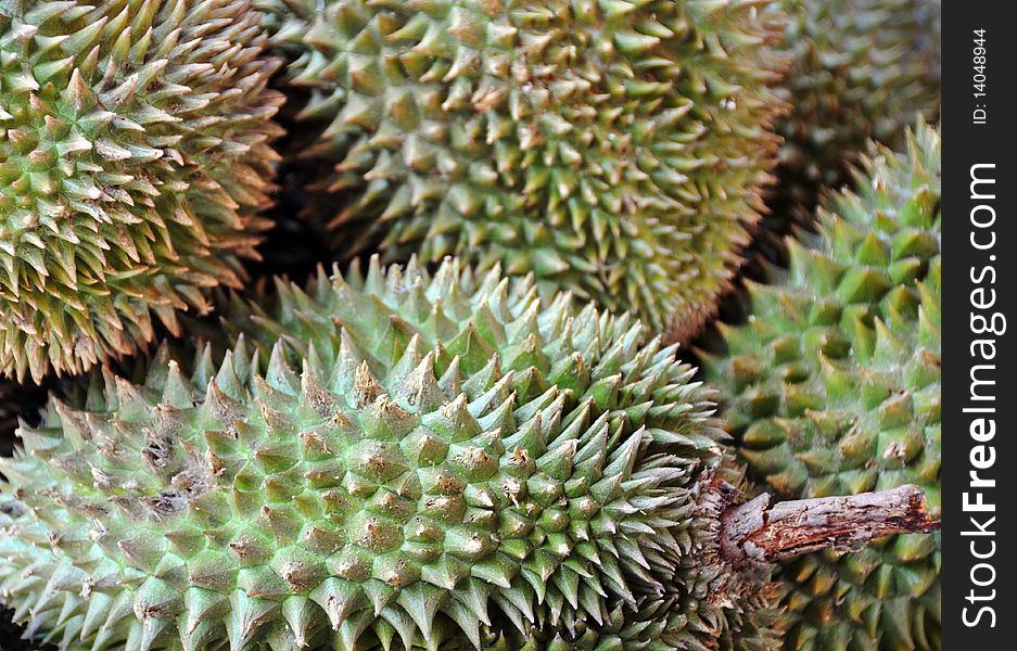 Durian fruit background taken at the Hoi An market in Vietnam. This tropical fruit  tastes nice but has a nasty smell so people tend to love it or hate it - Tigers love it.