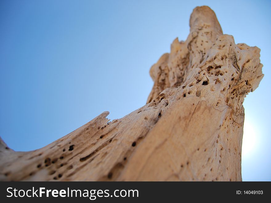 Trunk of a dead tree beneath a cloudless blue sky. Trunk of a dead tree beneath a cloudless blue sky