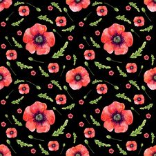 Cute Seamless Pattern Whit Poppies Stock Images