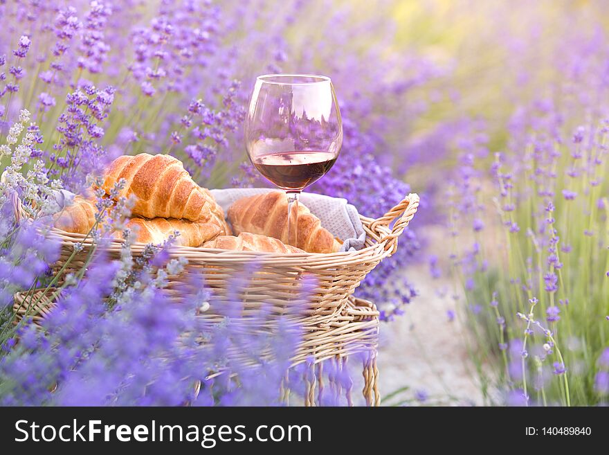 Wine and croissant against lavender landscape in sunset rays. Harvesting of aromatic lavender. A basket filled with fresh food stands at midlle of lavender field.
