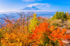Beautiful Landscape Of Mountain Fuji Around Maple Leaf Tree In Autumn Season Royalty Free Stock Image