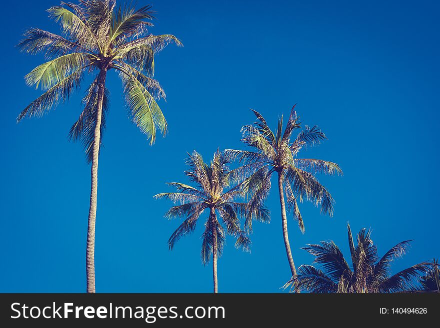 Beautiful outdoor blue sky with coconut palm tree - Vintage Filter. Beautiful outdoor blue sky with coconut palm tree - Vintage Filter