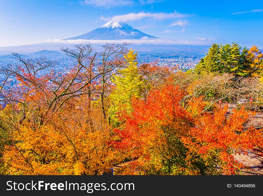 Beautiful landscape of mountain fuji around maple leaf tree in autumn season