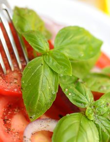 Tomato Salad Royalty Free Stock Image Tomato Salad Royalty Free Stock Image