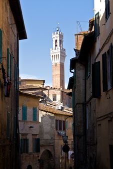 Torre Del Mangia Tower In Siena Stock Photography