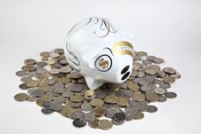 Piggy Bank And Money Royalty Free Stock Photo