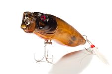 Fishing Bait Royalty Free Stock Image Fishing Bait Royalty Free Stock Image