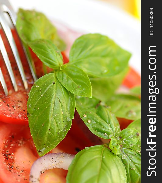 Tomato and basil salad -food background. Tomato and basil salad -food background