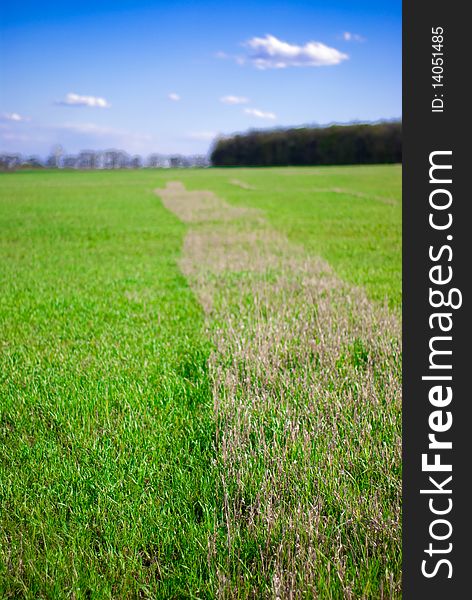 Beautiful landscape with sky, clouds and grass