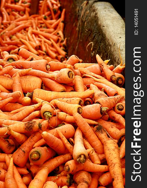 Carrot Vegetables Harvest