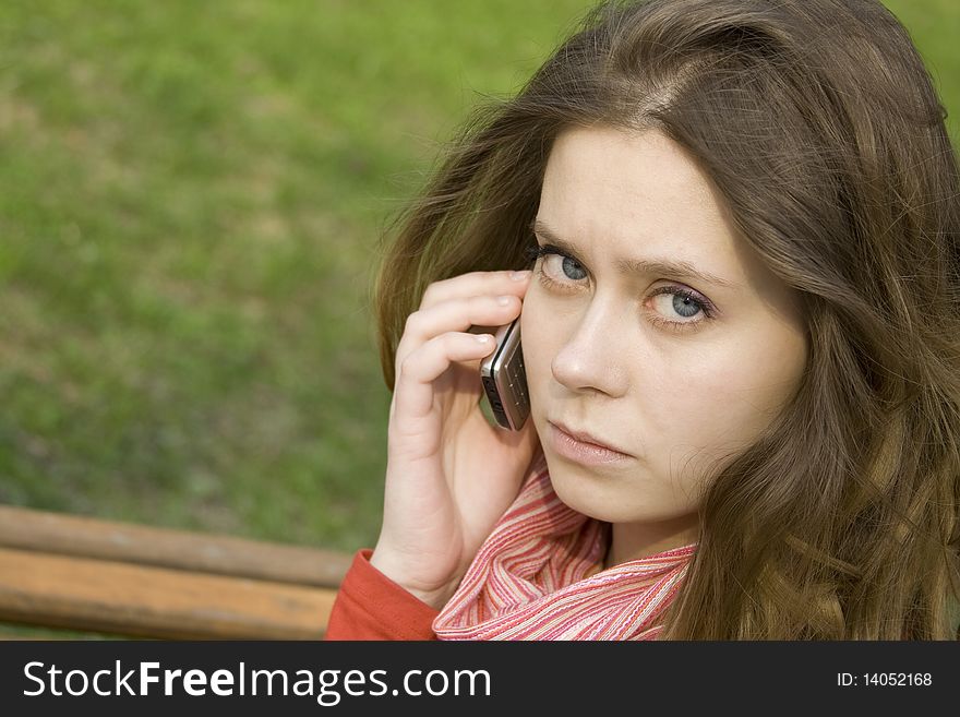 Young beautiful woman on the phone in the park. Young beautiful woman on the phone in the park