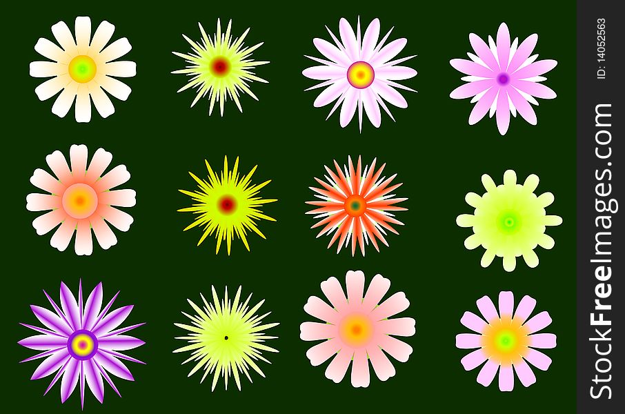 Illustration with bright color flower collection. Illustration with bright color flower collection
