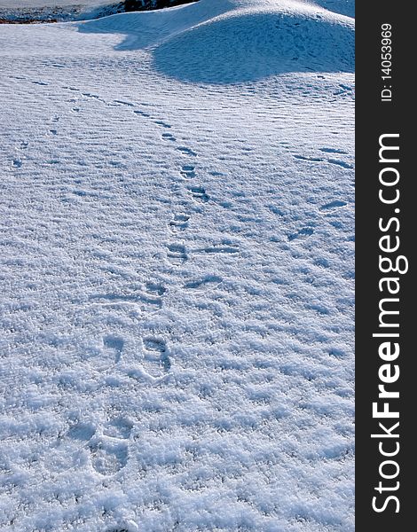 Footprints on white snow covered links golf course