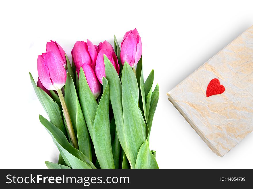 Close-up pink tulips with gift isolated on white