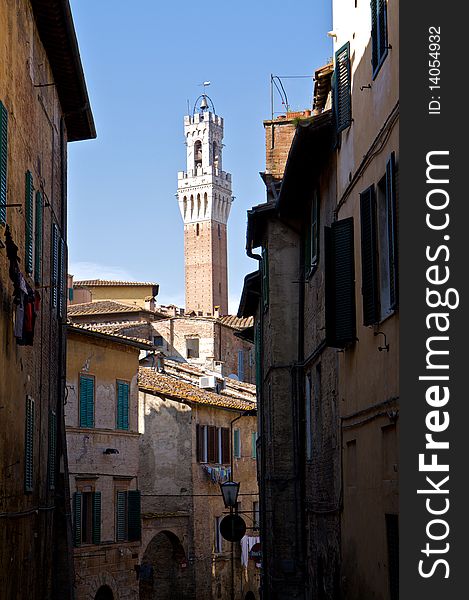 Torre Del Mangia Tower In Siena