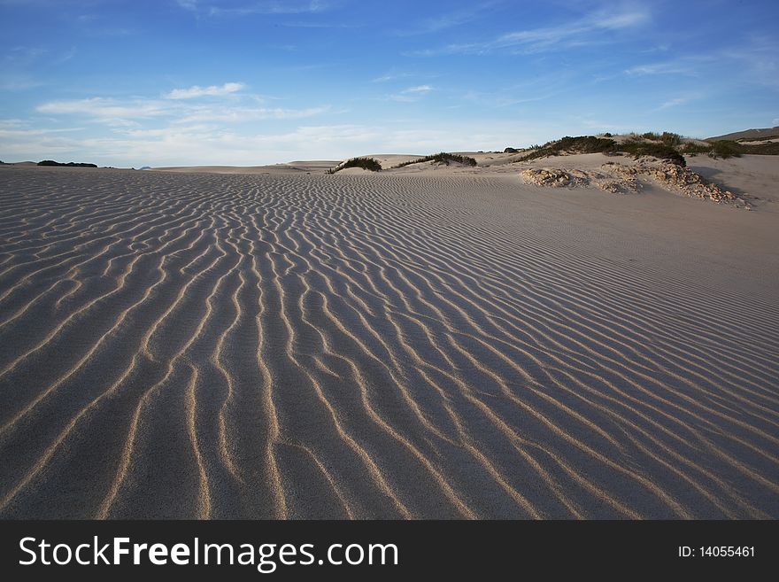 Image of Dunes on the South African coast line in the Western Cape. Image of Dunes on the South African coast line in the Western Cape