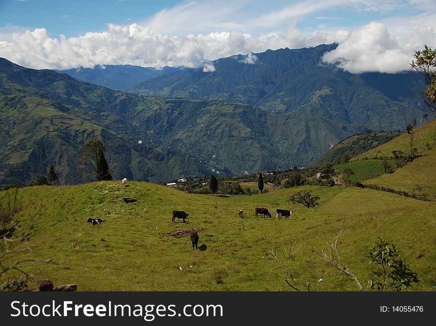 Typical green landscape of Ecuador. Typical green landscape of Ecuador