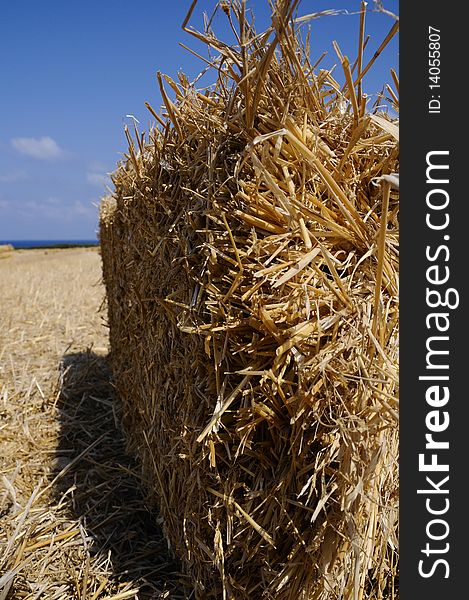 Hay stack in field by the ocean. Hay stack in field by the ocean