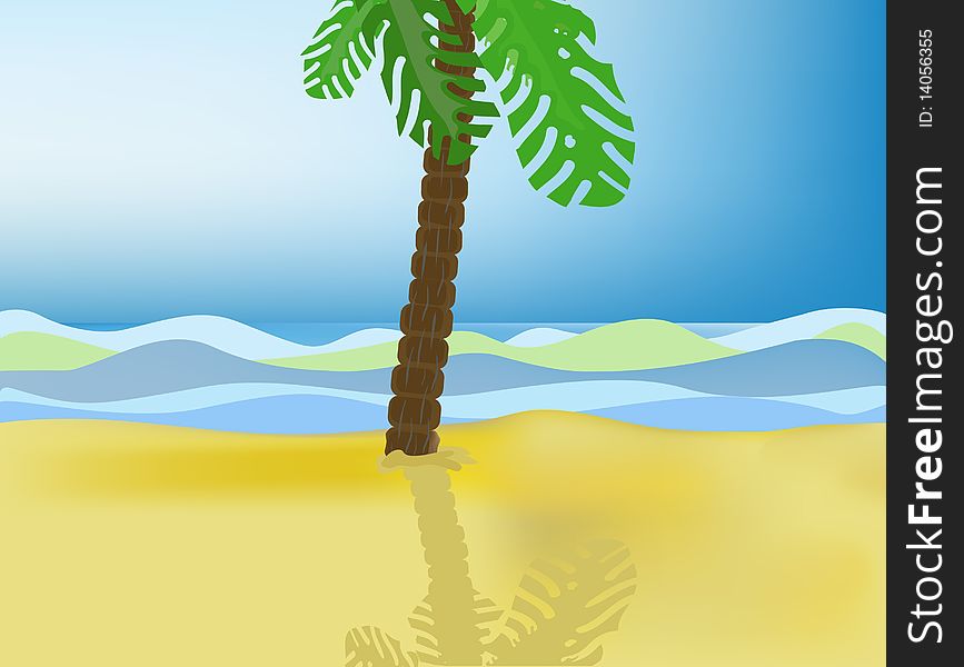 Palm tree standing alone on sea coast. Palm tree standing alone on sea coast.