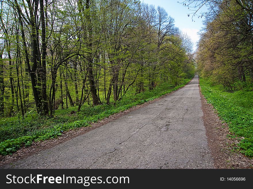 Part of the mountain road stretching into the distance, in the spring time. Part of the mountain road stretching into the distance, in the spring time