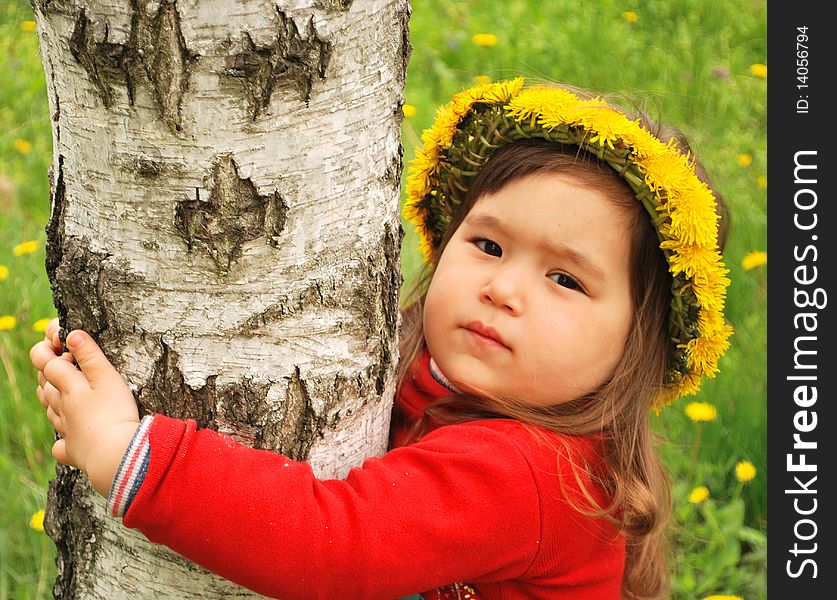 Little girl wearing a dandelion diadem and hugging a tree. Little girl wearing a dandelion diadem and hugging a tree
