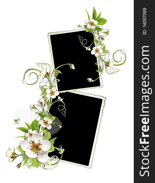 Beautiful spring frame with apple flowers on the white. Beautiful spring frame with apple flowers on the white