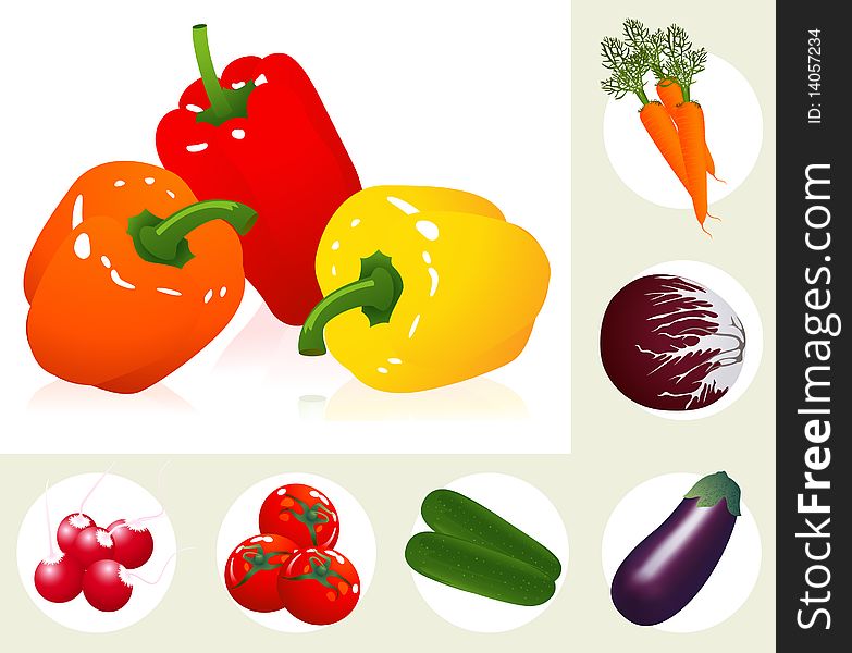 Vegetable set,  illustration, AI file included